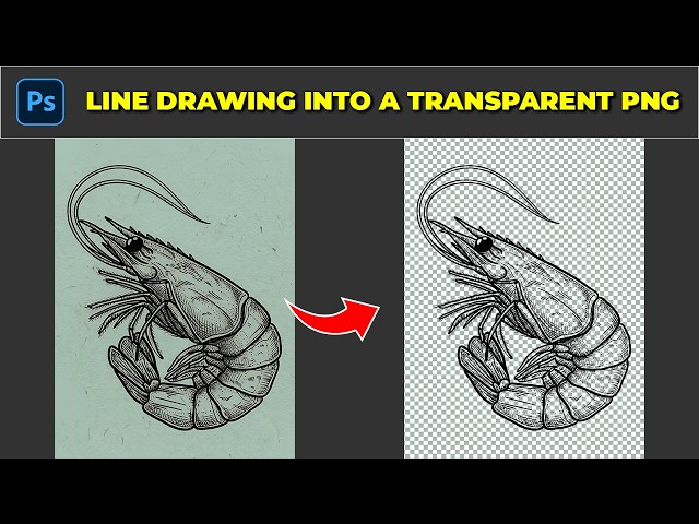Turn Any Line Drawing into a Transparent PNG in Photoshop!