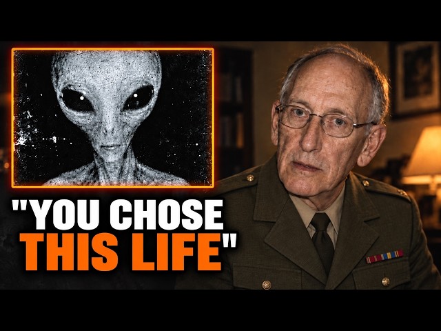 A Military Interpreter Asked a Gray Why They Take People — Its Answer Changed Everything