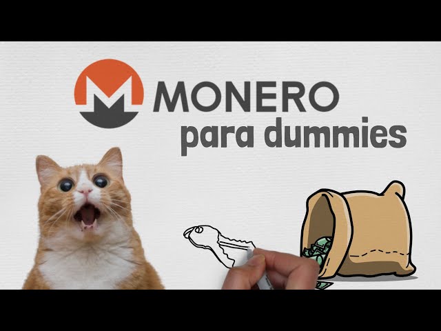 Ⓜ MONERO (XMR) Cryptocurrency: Everything You Need to Know | Simple Explanation in Spanish