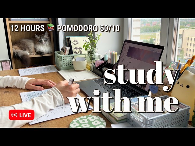 Challenge • 12 HOURS • STUDY WITH ME ☔️ Rain Ambience for Best Focus | Pomodoro 50/10