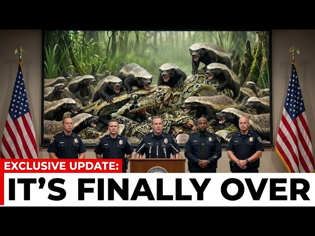 Florida Released Hundreds of Badgers and They Laughed… The Result SURPRISED Them