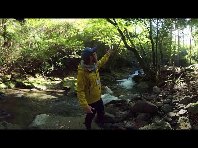 (360 °VR video) A virtual tour of Aso's wilderness with a guide! Kumamoto Prefecture_Aso