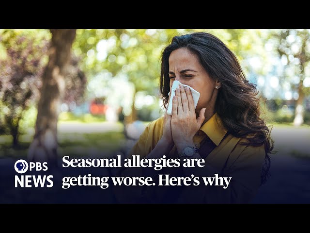 Seasonal allergies are getting worse. Here’s why