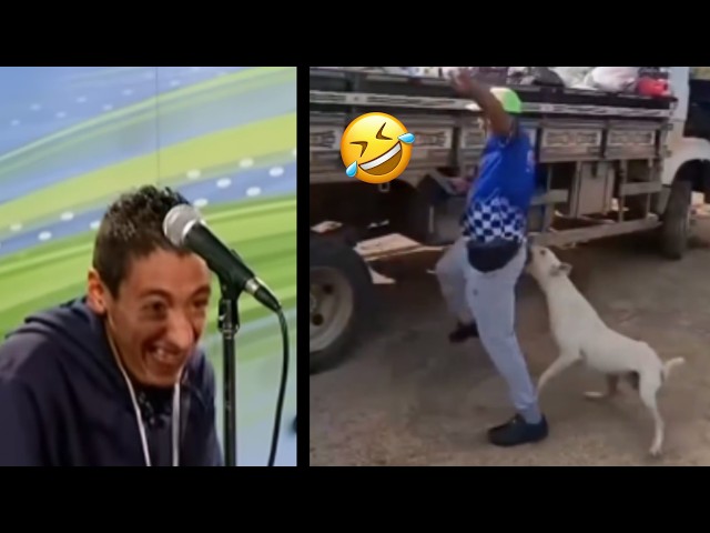 These Funniest Moments Will Blow Your Stomach 🤣 Try Not To Laugh 😂 Challenge.