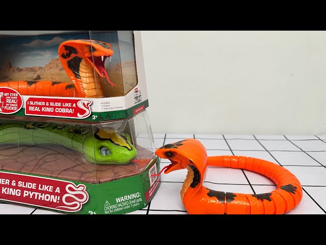 Zuru Robo Alive King Python VS King Cobra Toys Unboxing