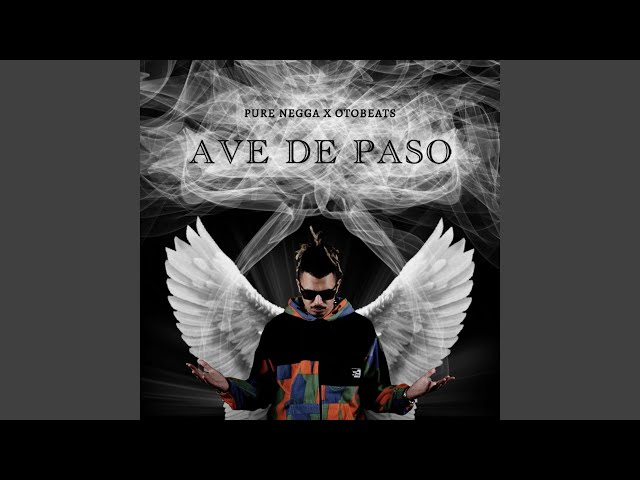 Ave de Paso