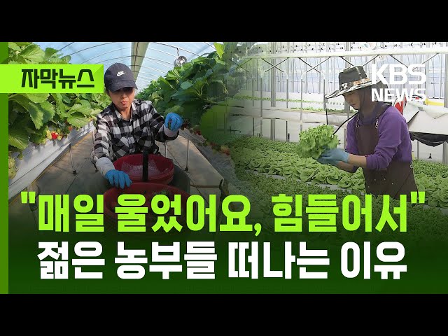 [자막뉴스] "매일 울었어요, 힘들어서" 젊은 농부들 떠나는 이유 / KBS 2025.11.16.