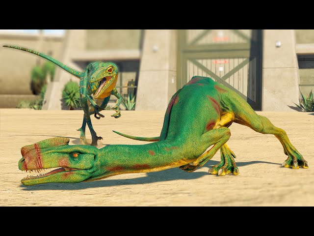 ALL SMALL CARNIVORE DINOSAURS BATTLE ROYALE  - Jurassic World Evolution 2