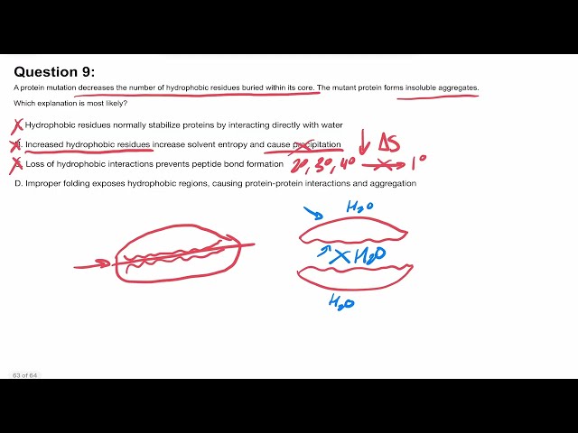MCAT Prep Ep7 (Part 3) | Biochem Practice Problems: Protein Structure