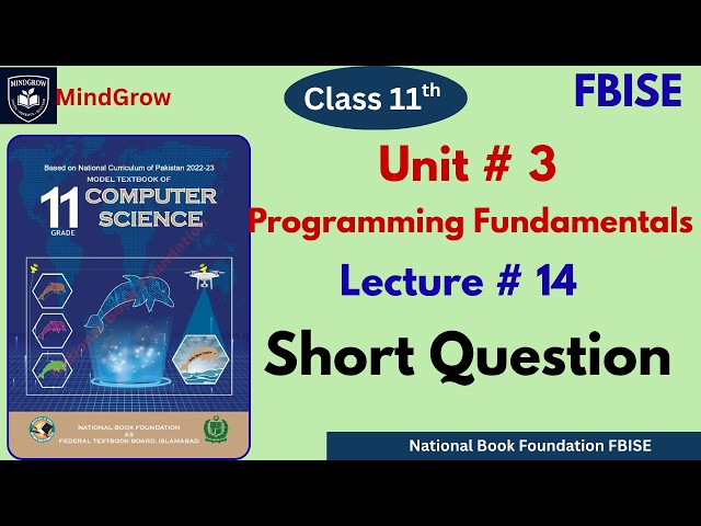 Unit 3 Programming Fundamentals | Exercise Short Questions | Class 11 Computer Science FBISE | NBF