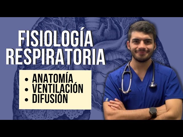 Fisiología respiratoria 🫁 | Primera parte