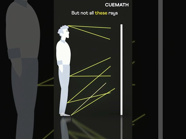 Do you really need a full length mirror? 🪞