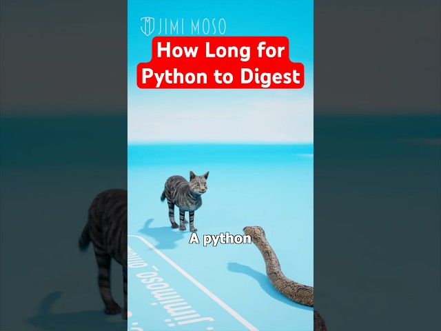 How Long for Python to Digest This Animal 🐍  #shorts #science #snakes