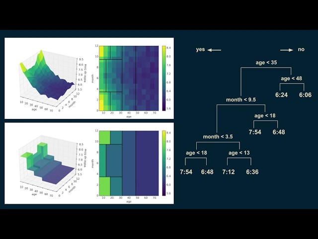 How decision trees work