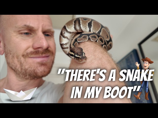 Meet Lenny The Snake | Mini Gaming Collectables Tour & Beautiful Sawbridgeworth