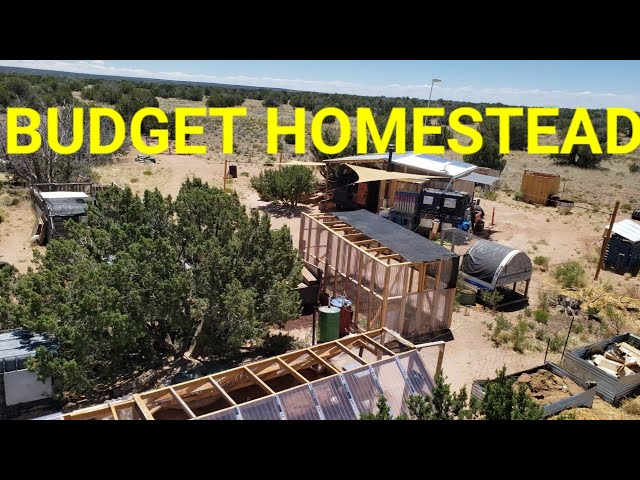 How to Start a Homestead With No Money (How I Actually Did It)
