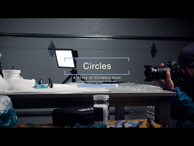 Circles: A Story of Collaboration