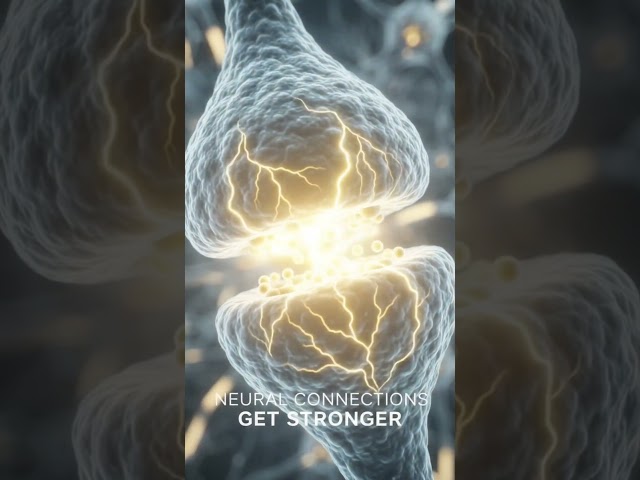 What Happens to Your Brain When You Learn Something New? 🧠🤯 #Shorts