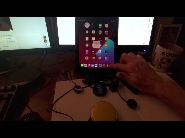 Mrs. Pacman on iPad with 4 Switches