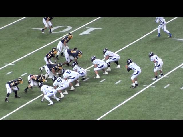 Big Play: Buffanblu Long Arms of the Law