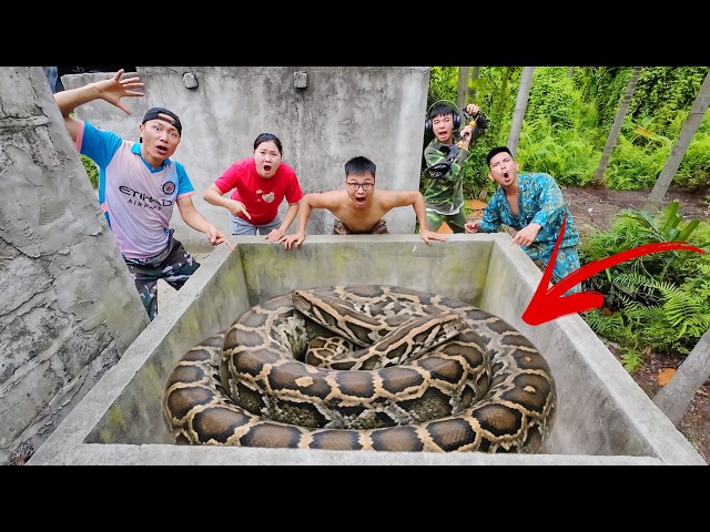 Brave Experts Rescue Ethnic Girl from 100 Giant Snakes in Abandoned Area