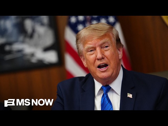 'A putz': Michael Steele slams Trump FCC Commissioner's latest ABC attack