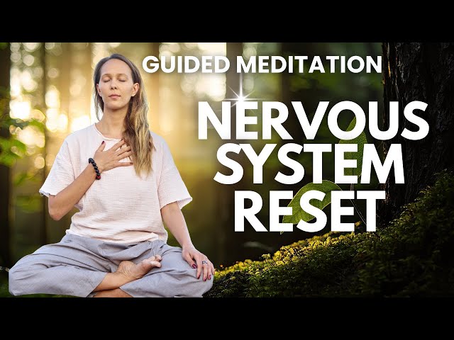 10-Minute, Feel Safe and Grounded: Healing Meditation | Nervous System Reset | Somatic Healing