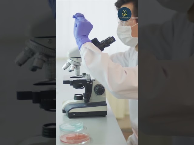 Bacteria in the human Body | The Amazing World