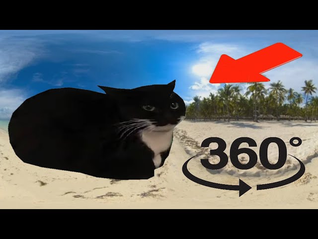 VR 360 Find Hidden MAXWELL THE CAT
