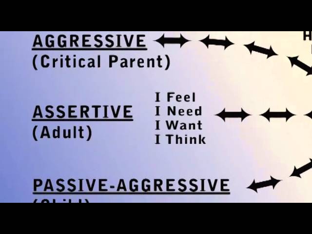 Communication and Assertiveness: Master Communication and Assertiveness Skills Training (DVD) full