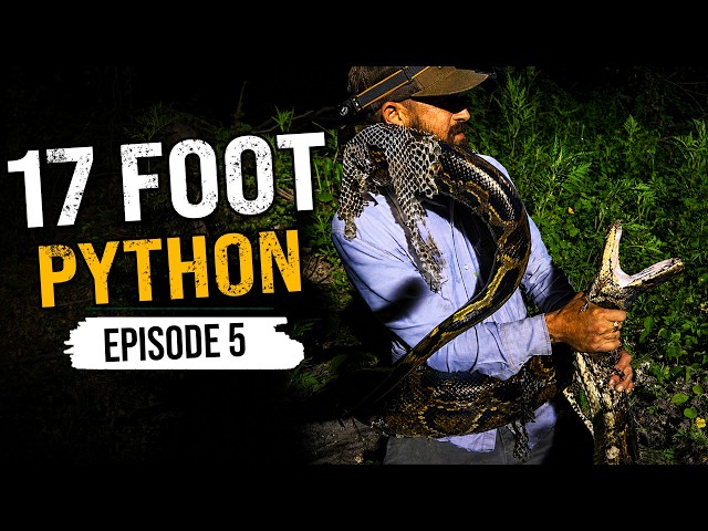 17-Foot Python Squeezes the Hell Out of Me | Saving the Glades Ep. 5