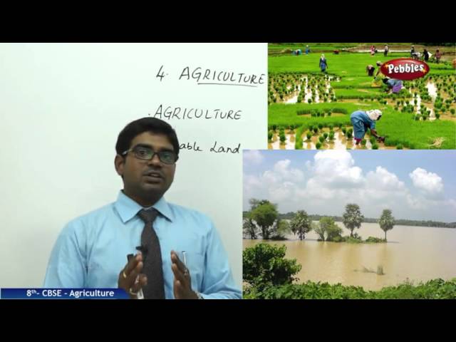 Agriculture | Class 8th Social Studies | NCERT | CBSE Syllabus | Live Videos