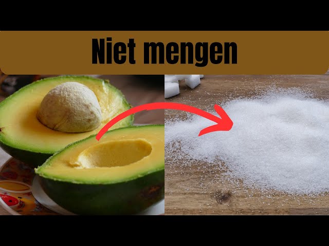 Gezonde Voeding — Maar Je Eet Het Fout!