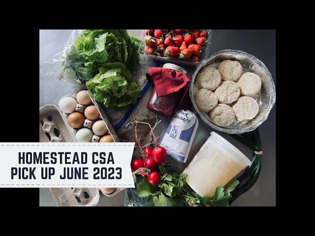 How to Start a Homestead CSA