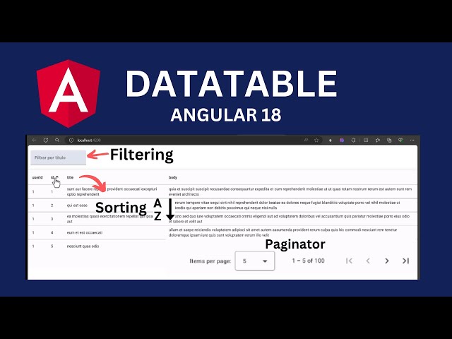 Datatable Angular 18 | Pagination, Sorting and Filtering