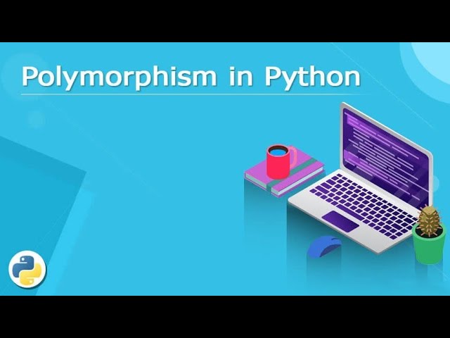 polymorphism in python