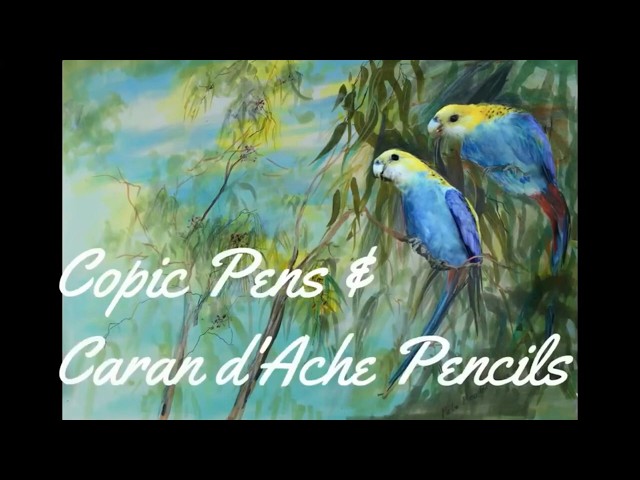 Don't Feed the Birds? Bird Flu, Fairy Penguins & Painting Rosellas