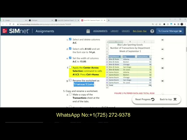 In Practice Excel 365: Application Capstone Project 2 |Step-by-Step SIMnet Solution | Excel Part 1