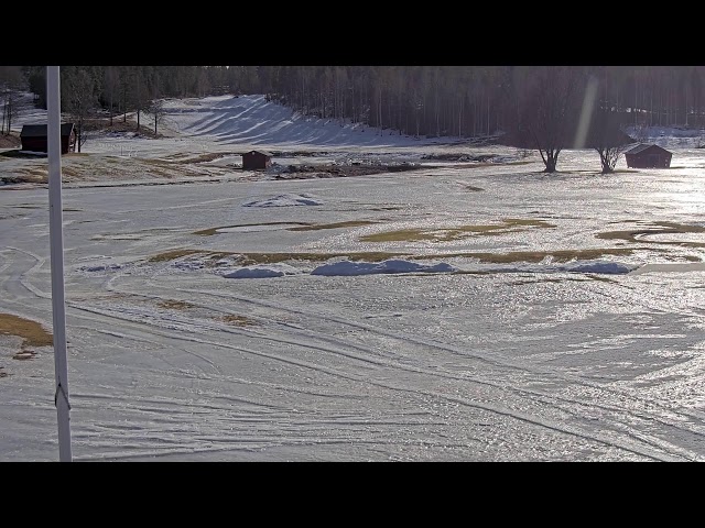 Skellefteå Golfklubb Live