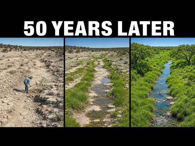 A Fried-Chicken Tycoon Bought the Worst Ranch in Texas. What the Dead Land Grew Stunned Everyone