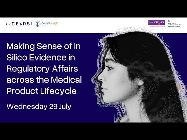 Making Sense of In Silico Evidence in Regulatory Affairs across the Medical Product Lifecycle