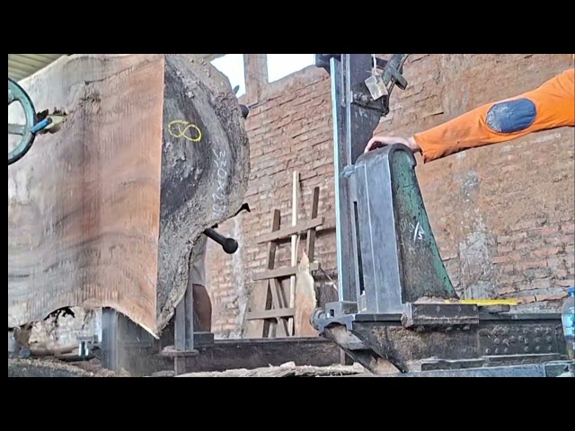 Massive Log Meets the Sawmill! | Incredible Giant Wood Cutting Process