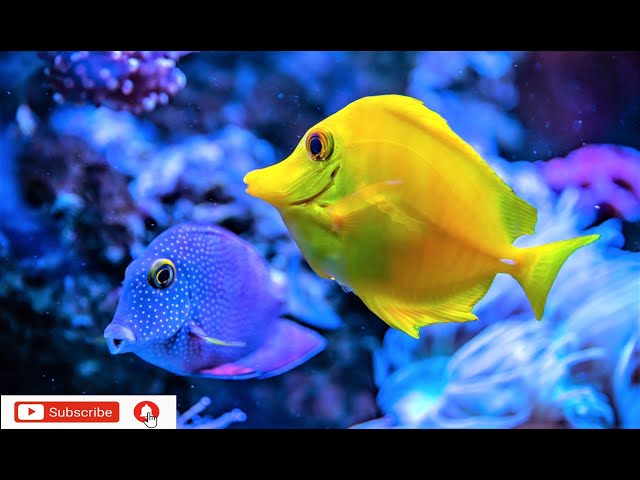 1 hour study music for high concentration and better memory increase productivity with binaural beat
