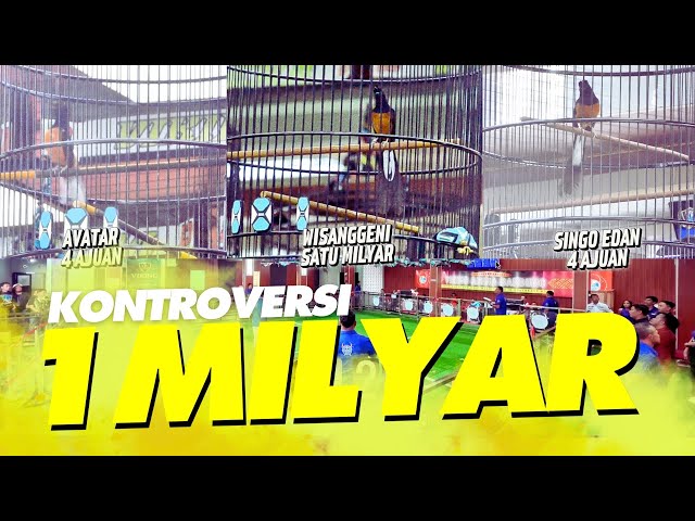 KONTROVERSI SATU MILYAR‼️Duel MURAI AVATAR, WISANGGENI dan SINGO EDAN #andribolang #ndarboygenk