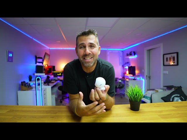 The Shelly Camera is here - and this is just a glimpse 📹