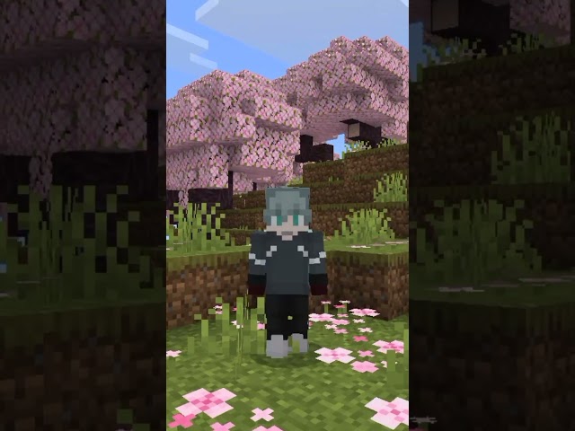 Minecraft Added a NEW DIMENSION?! 😱 #minecraft #shorts