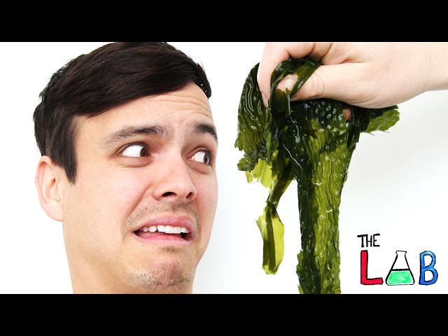 Can We Make This Taste Good? Ft. Hannah Hart (The LAB)