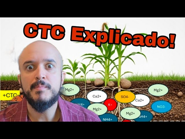 CEC, CTA and Soil Fertility: The DEFINITIVE Guide to Avoiding Mistakes in Fertilization