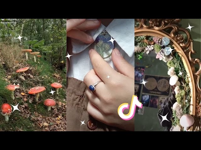 Fairycore and Goblincore 🧚🍄 tiktok compilation
