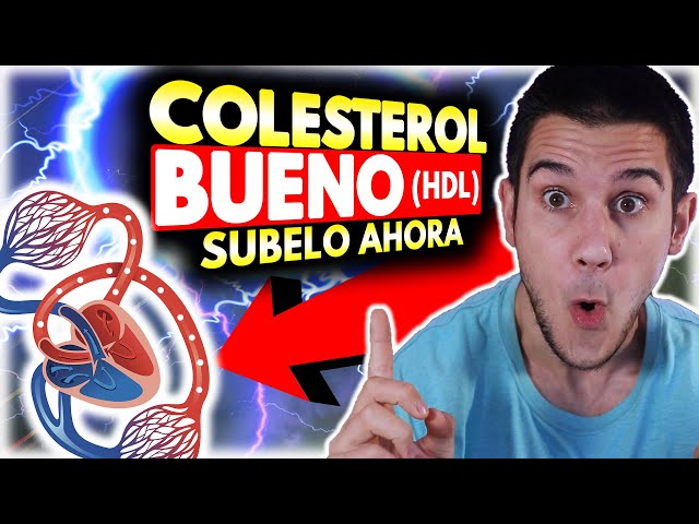 🩸⚡Learn how to INCREASE your HDL or GOOD CHOLESTEROL in a *simple* way